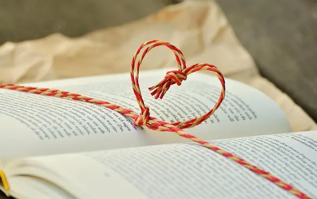 The Key Skills Required for a Successful Legal Career
